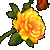 Hassim567